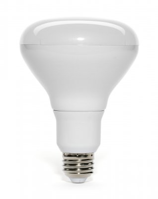 100W Replacement BR30 Flood Light Bulb