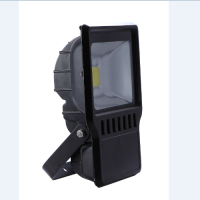 AC100-277V 100W Standard LED Flood Light ETL Listed