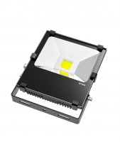 Scaly Structure UL LED Flood light 30W