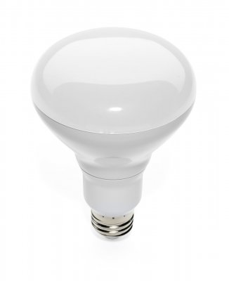 LED Recessed Can 100W Replacement BR30 Flood Light Bulb