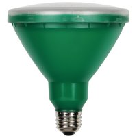 15W PAR38 LED Outdoor Bulb, Flood Green E26 (Medium) Base, 120V,