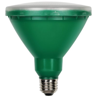 15W PAR38 LED Outdoor Bulb, Flood Green E26 (Medium) Base, 120V,