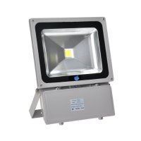 100 Watt LED Flood Light