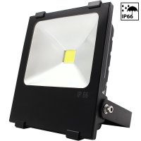 50W High Power Outdoor LED Flood Light