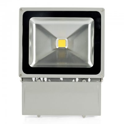 100W LED Flood Lights Waterproof Outdoor Lamp Security Garden Li
