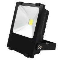 100W High Power Outdoor LED Flood Light