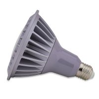 PAR38 Indoor Outdoor 16 Watt LED Flood Light Bulb