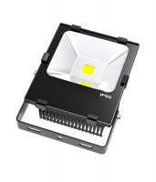 Scaly Structure UL LED Flood light 50W