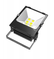 Scaly Structure UL LED Flood light 200W