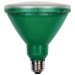 15W PAR38 LED Outdoor Bulb, Flood Green E26 (Medium) Base, 120V, 15W PAR38 LED Outdoor Bulb, Flood Green E26 (Medium) Base, 120V,