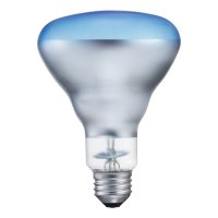 415281 Agro Plant Light 75-Watt BR30 Flood Light Bulb