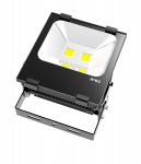 Scaly Structure UL LED Flood light 100W