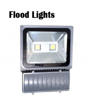 Standard Flood Light 100W